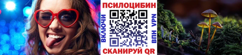 Галлюциногенные грибы Psilocybe  ссылка на мегу ссылки  Бородино 